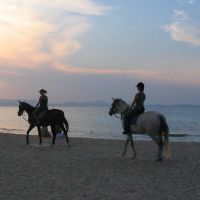 Naxos Horse Riding